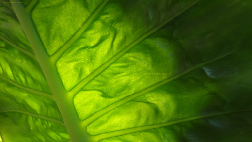 583571 (a): :2560x1440